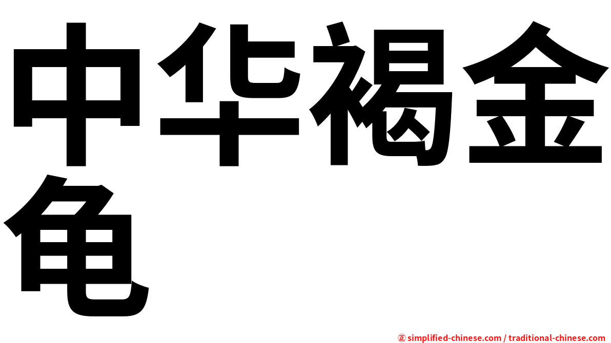 中华褐金龟