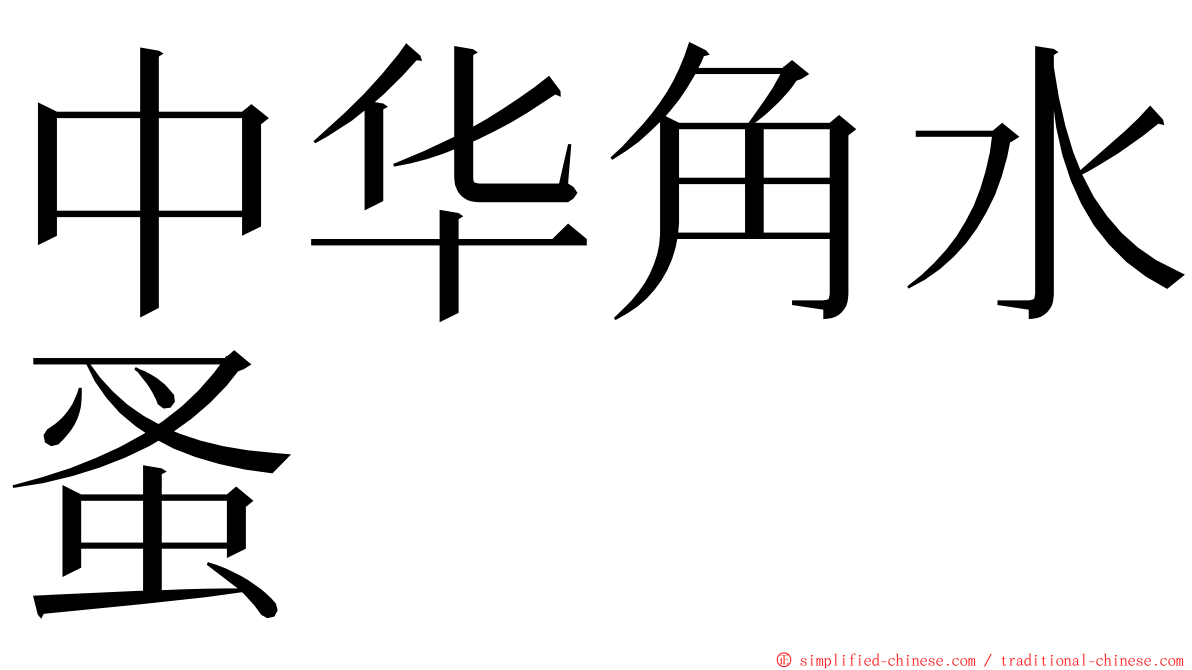 中华角水蚤 ming font