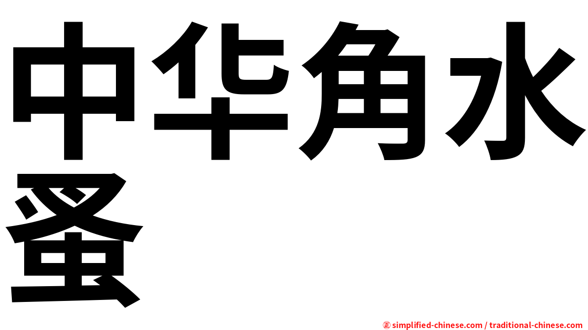 中华角水蚤
