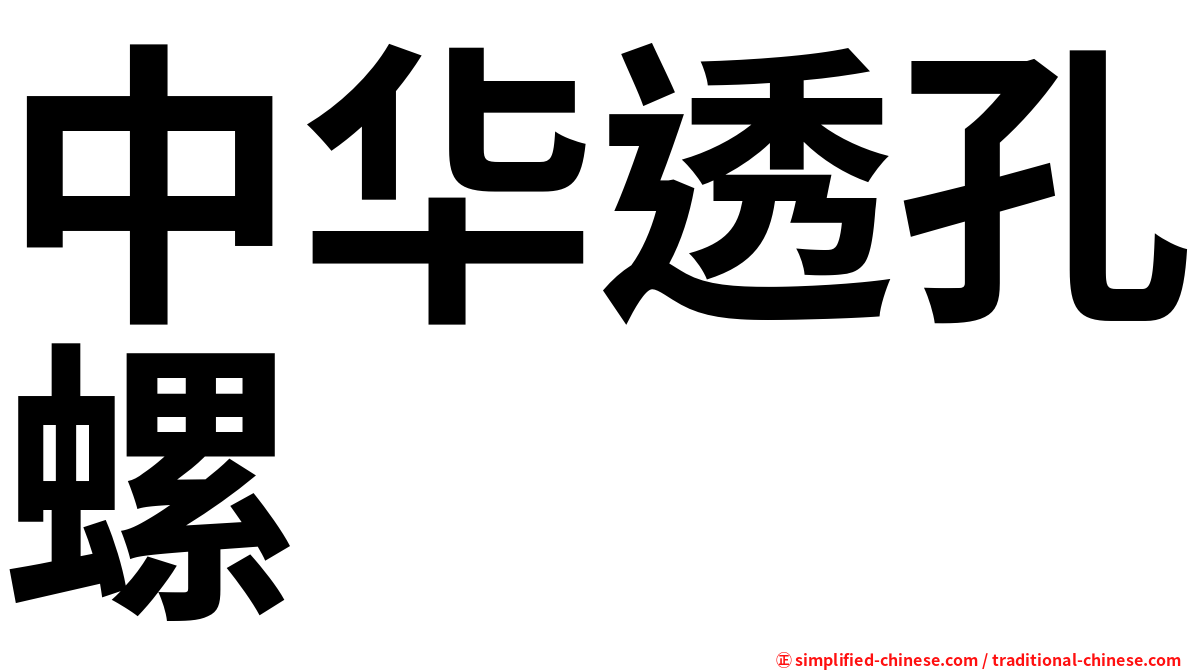 中华透孔螺