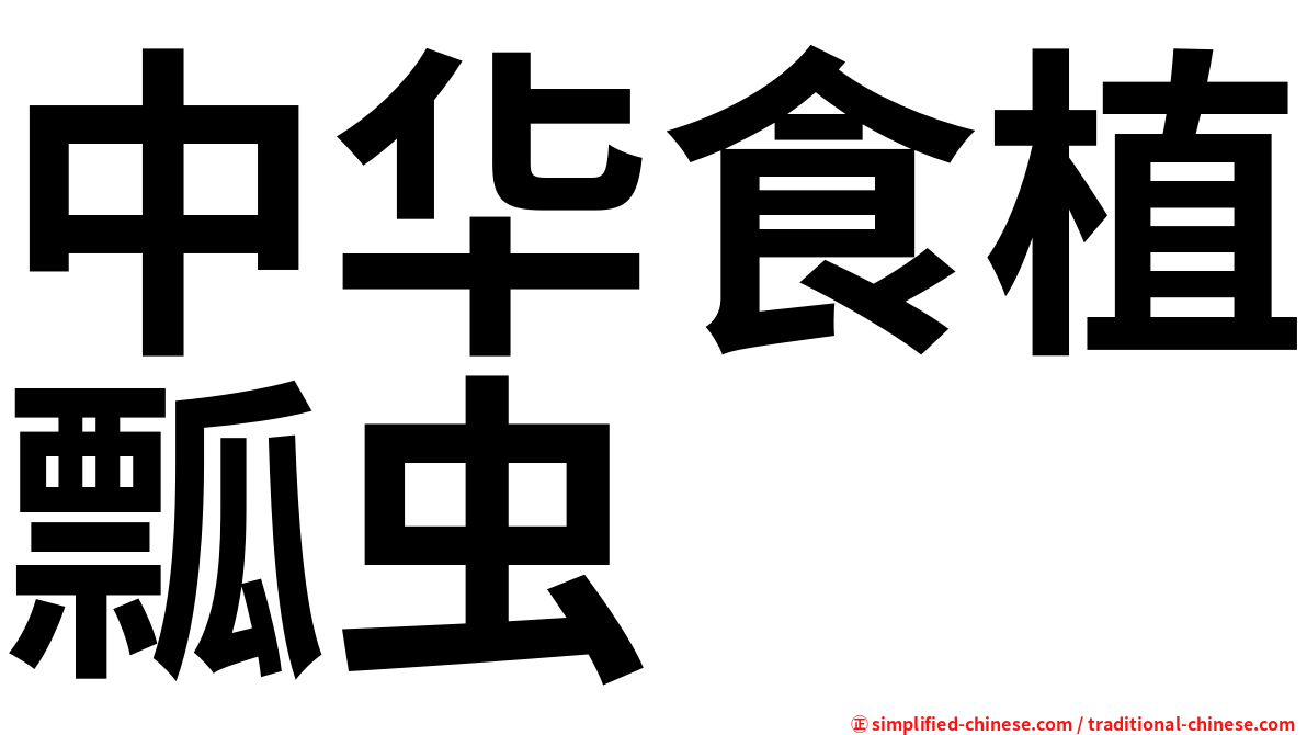 中华食植瓢虫