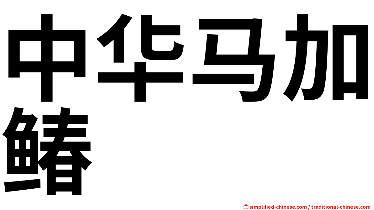中华马加䲠