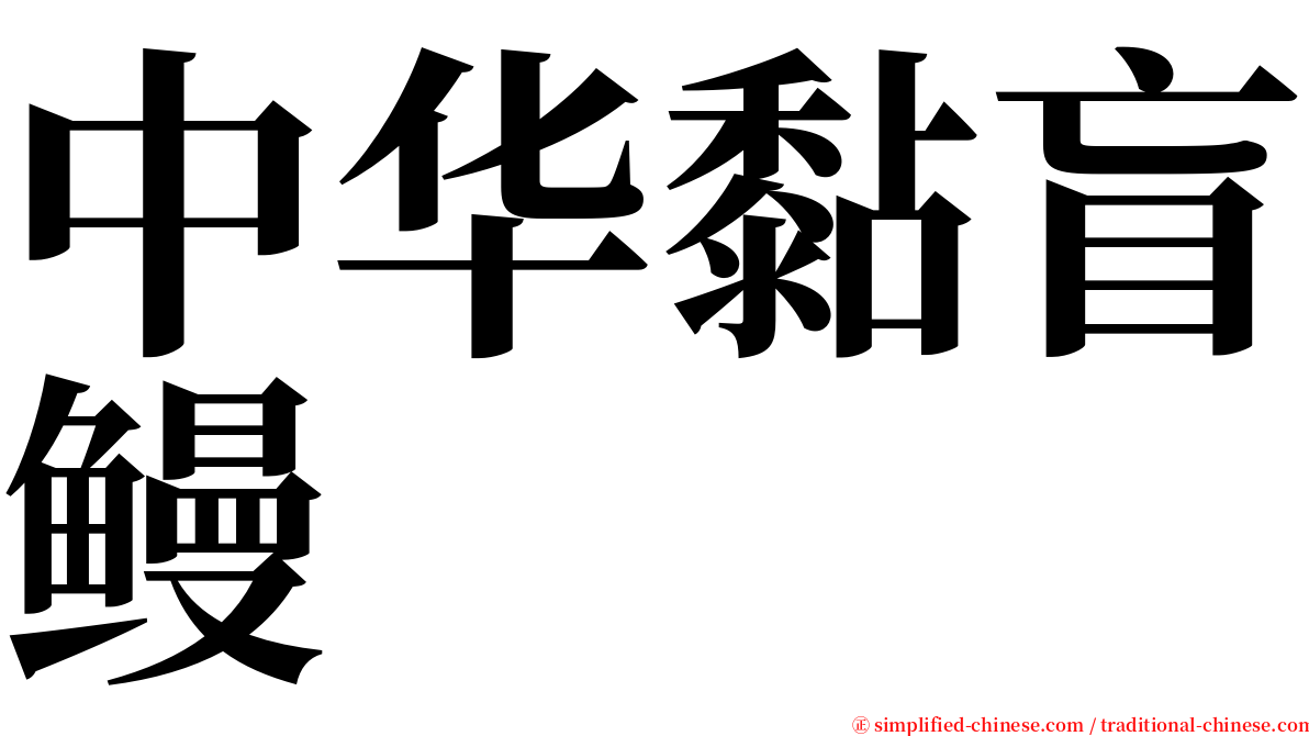 中华黏盲鳗 serif font