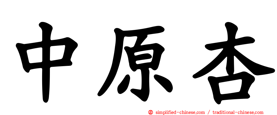 中原杏