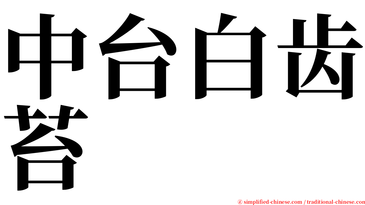 中台白齿苔 serif font