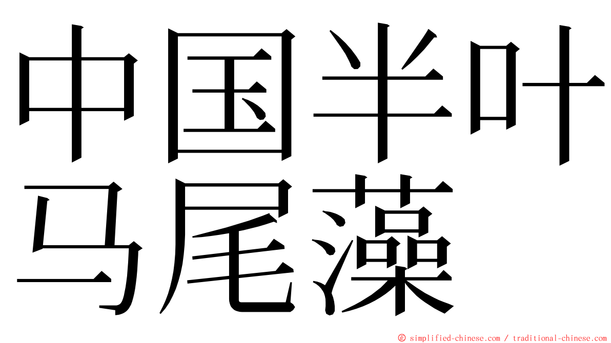 中国半叶马尾藻 ming font