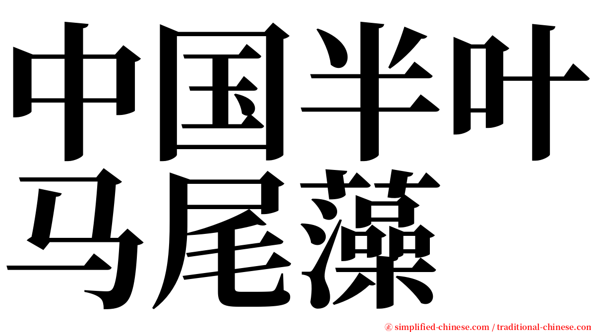 中国半叶马尾藻 serif font