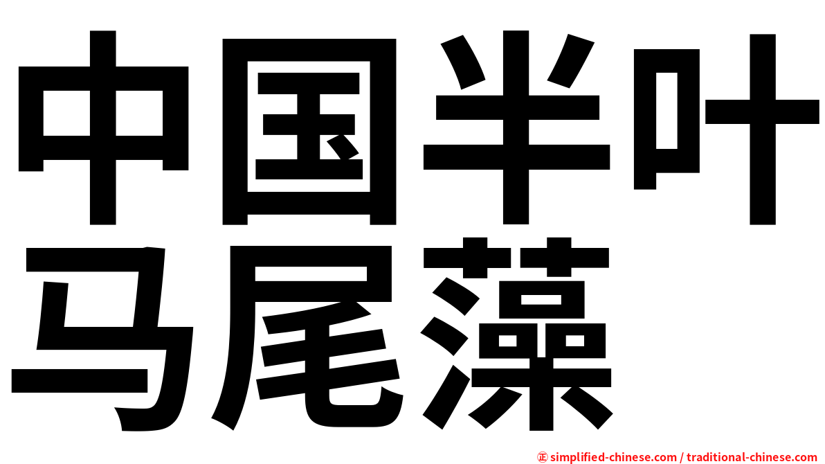 中国半叶马尾藻