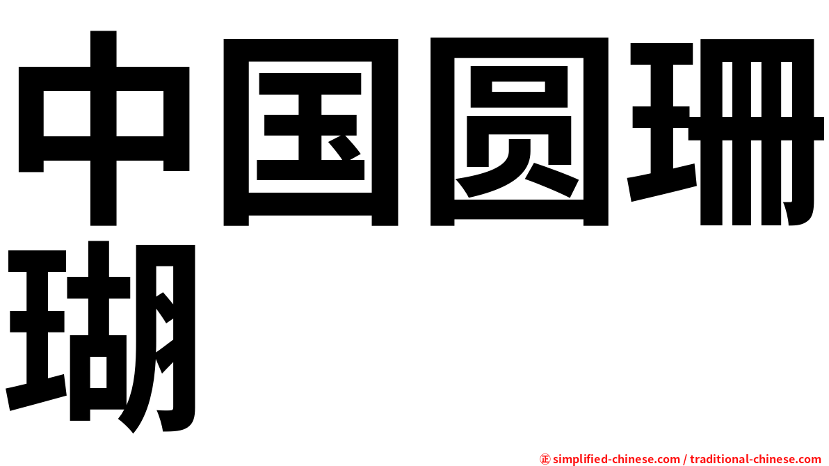中国圆珊瑚