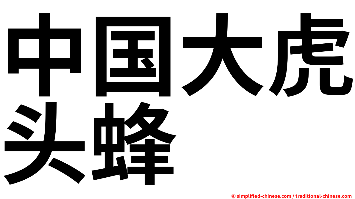 中国大虎头蜂