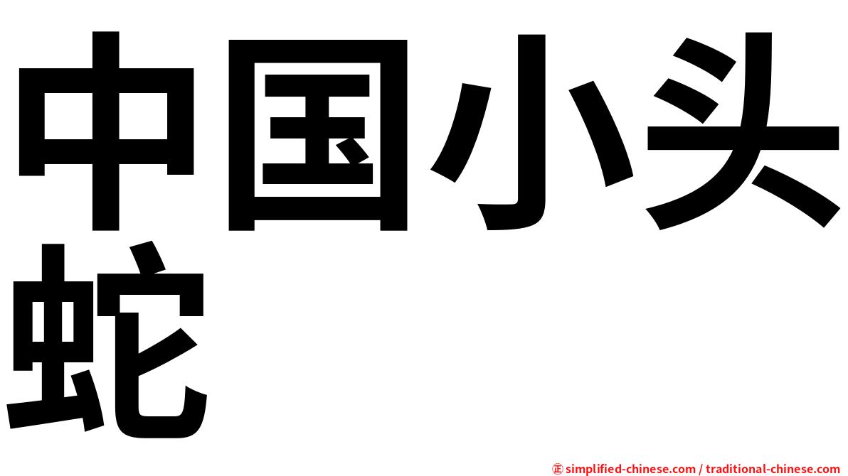 中国小头蛇