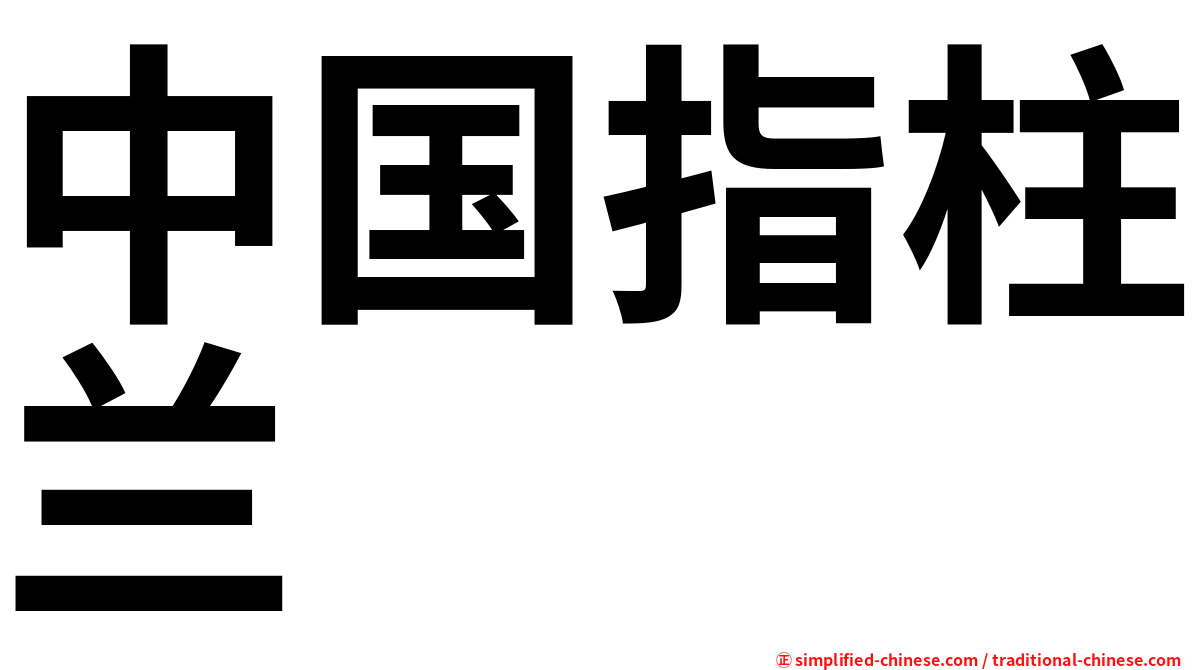中国指柱兰