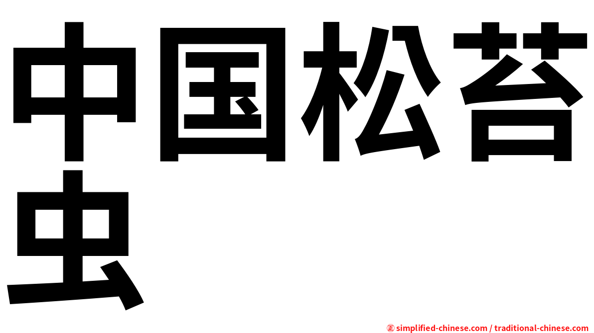 中国松苔虫