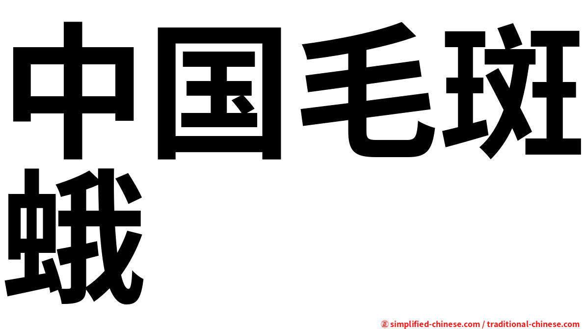 中国毛斑蛾