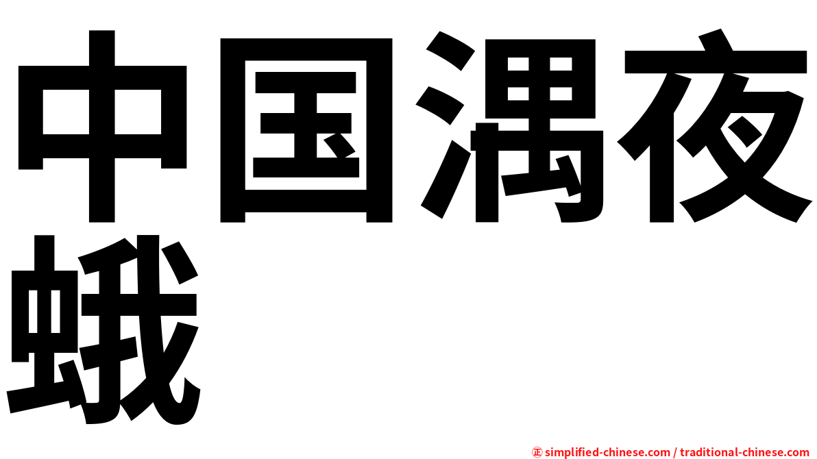 中国湡夜蛾