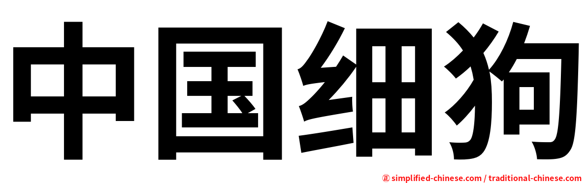 中国细狗