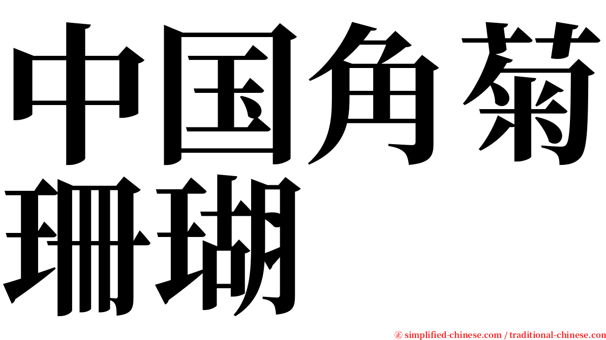 中国角菊珊瑚 serif font