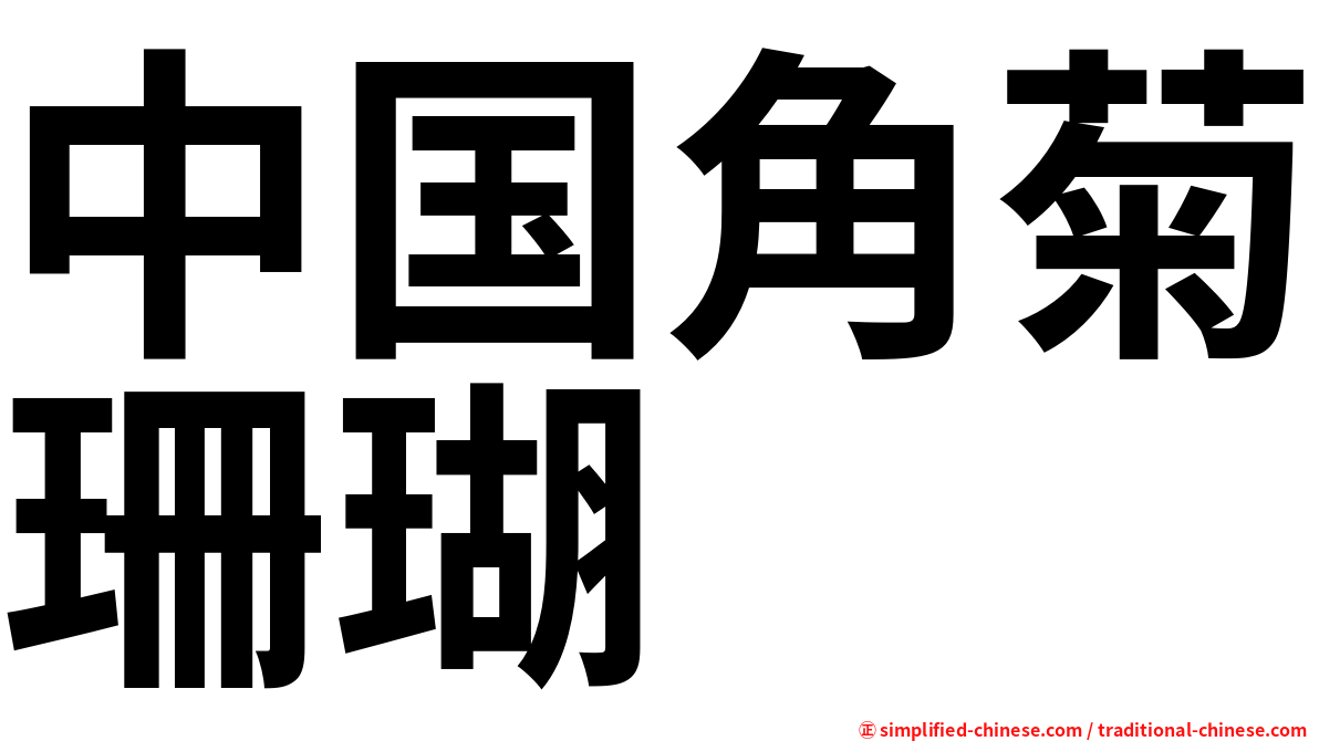 中国角菊珊瑚