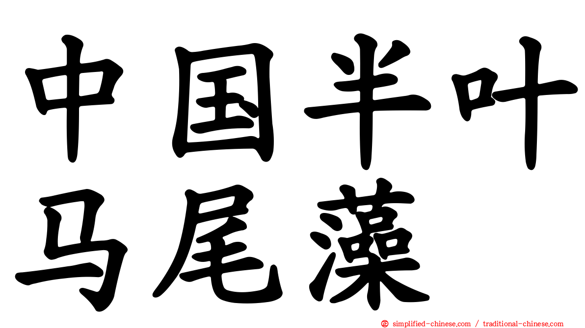 中国半叶马尾藻