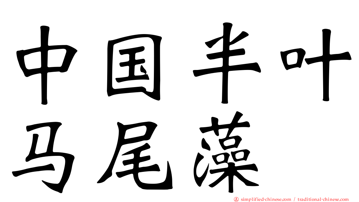 中国半叶马尾藻