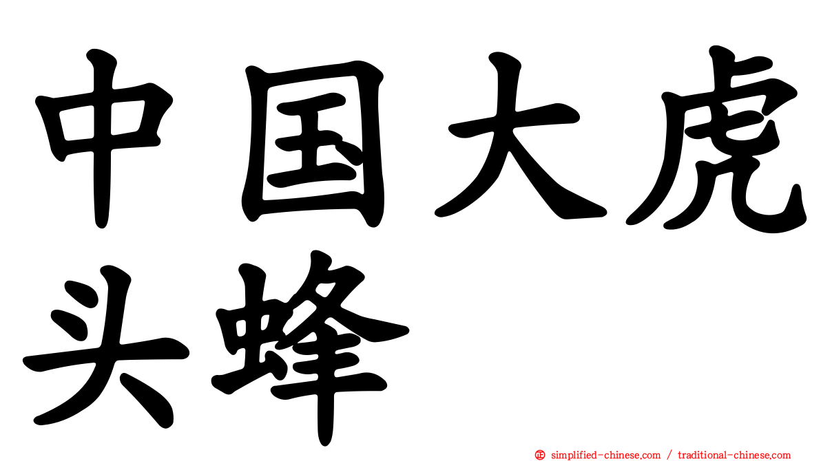 中国大虎头蜂