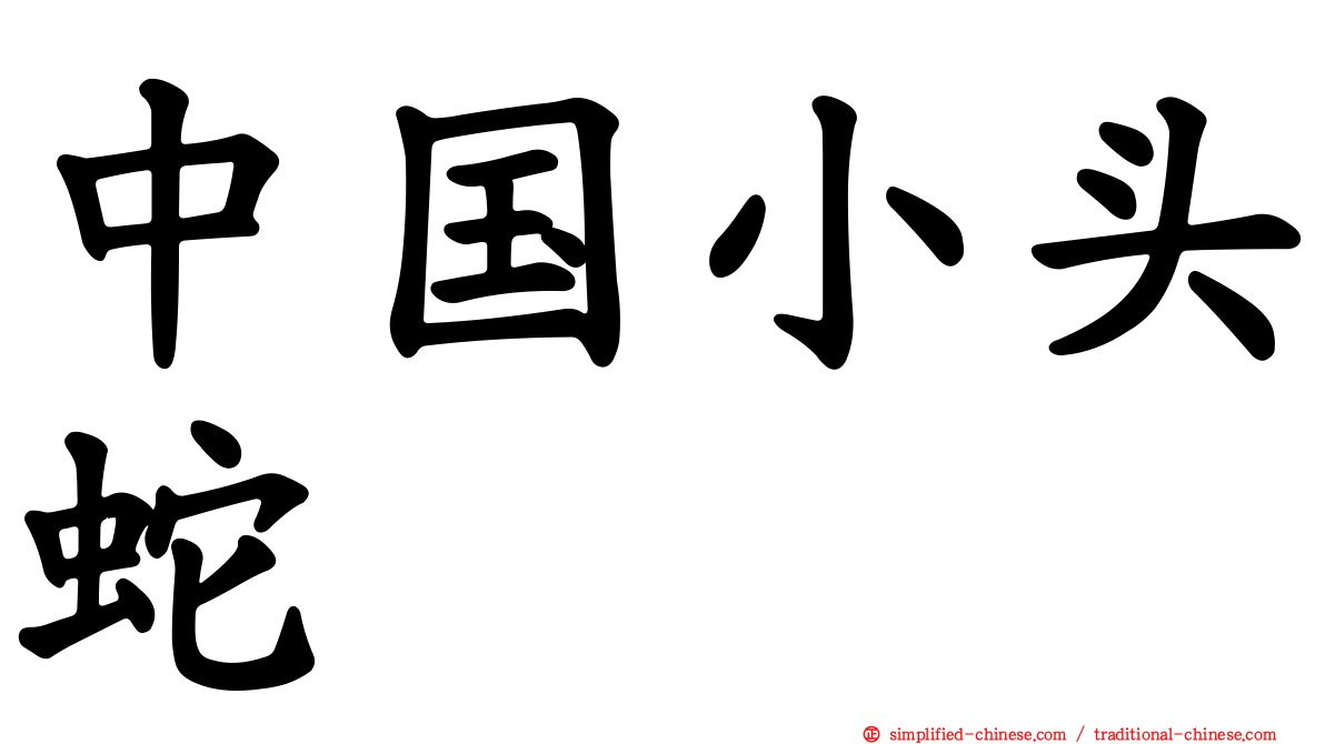 中国小头蛇