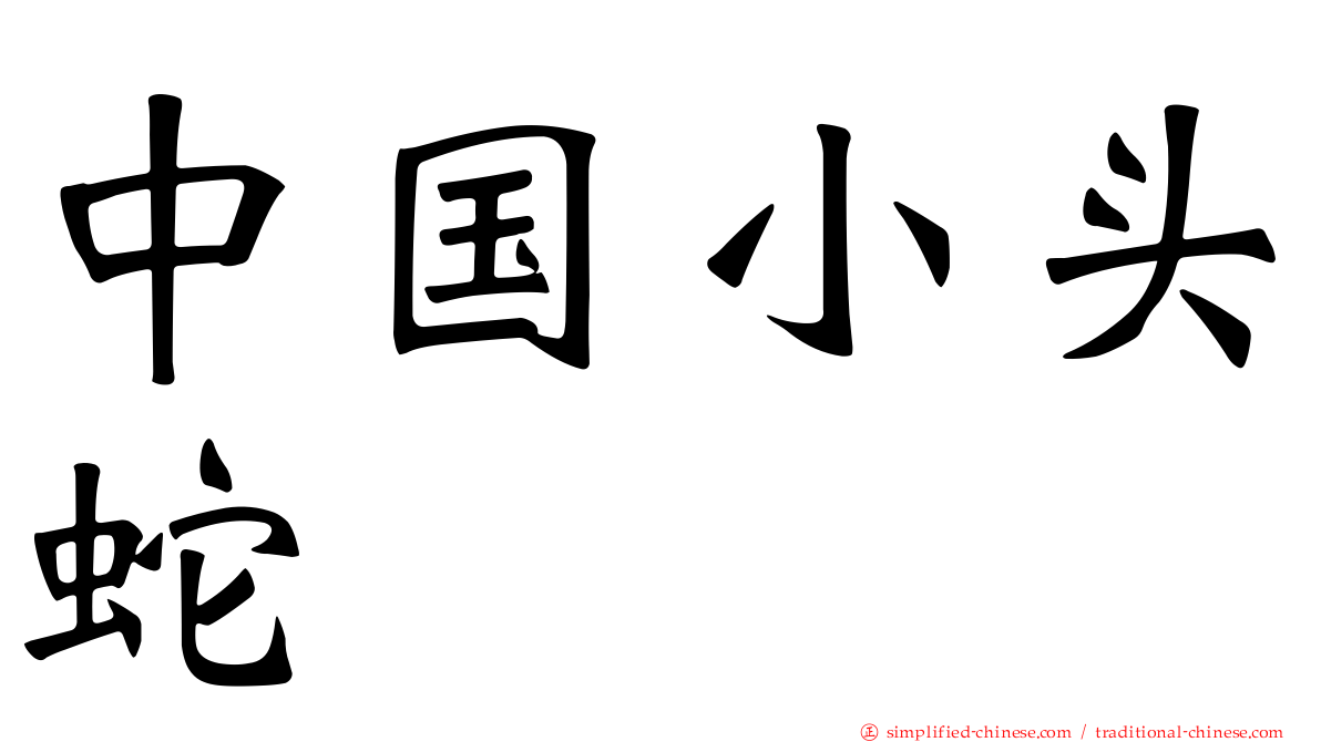 中国小头蛇