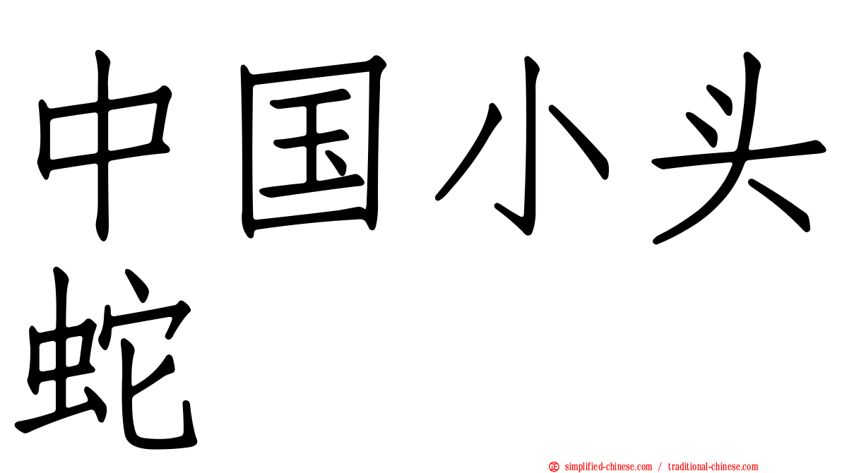 中国小头蛇