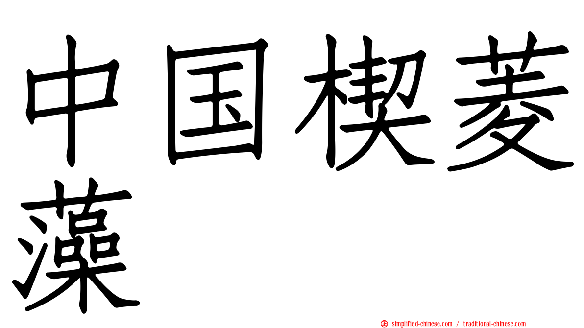 中国楔菱藻
