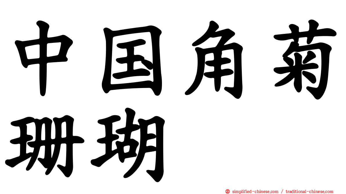 中国角菊珊瑚