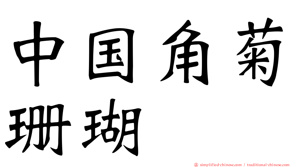 中国角菊珊瑚