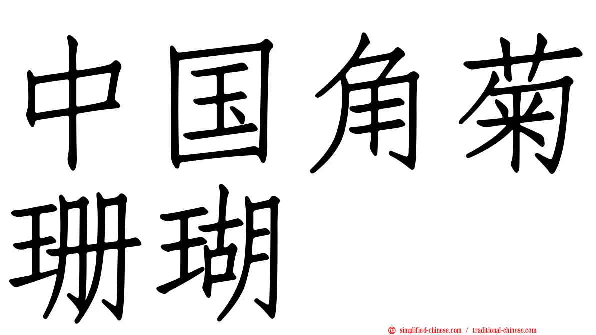 中国角菊珊瑚