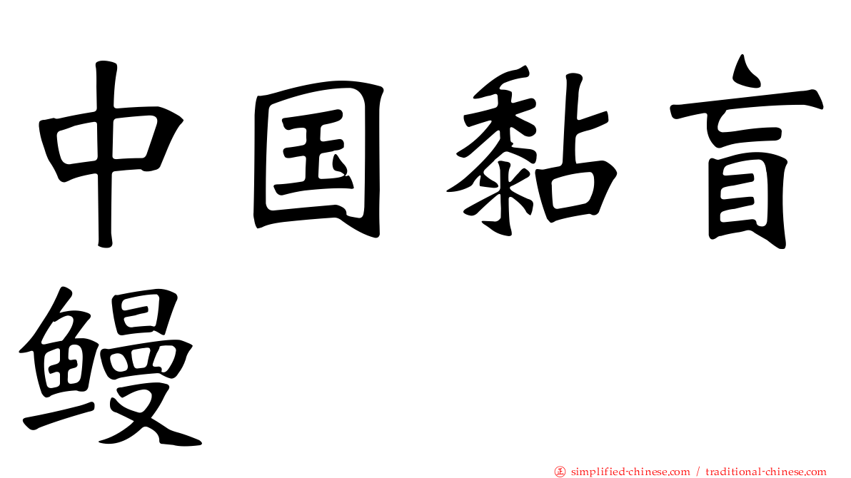 中国黏盲鳗
