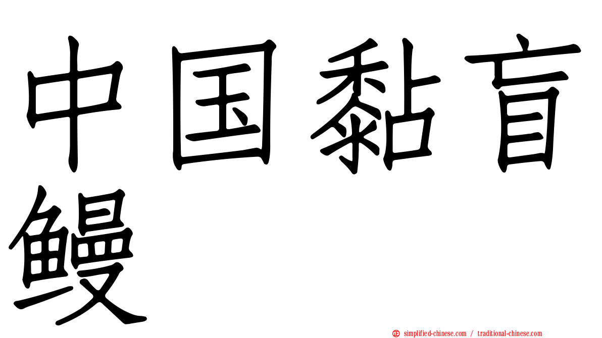 中国黏盲鳗