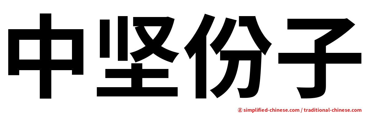 中坚份子