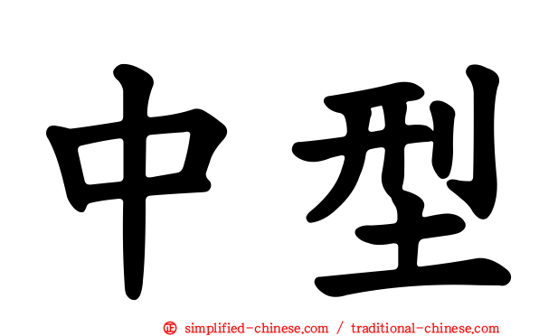 中型
