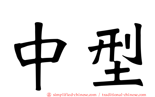 中型
