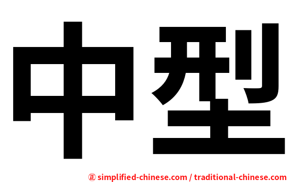 中型