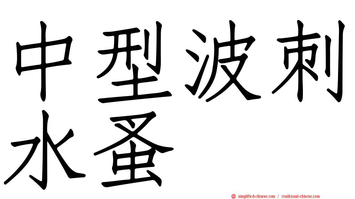 中型波刺水蚤