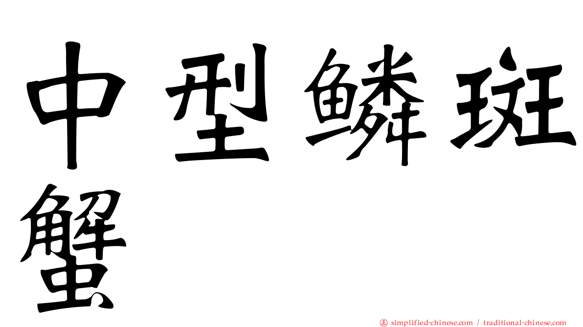 中型鳞斑蟹