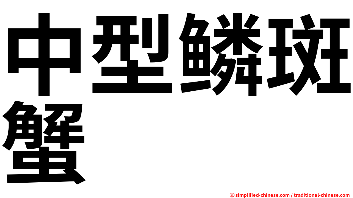 中型鳞斑蟹