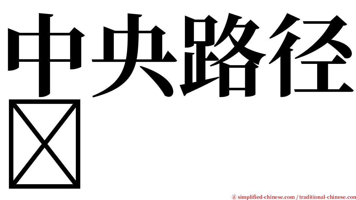 中央路径 serif font
