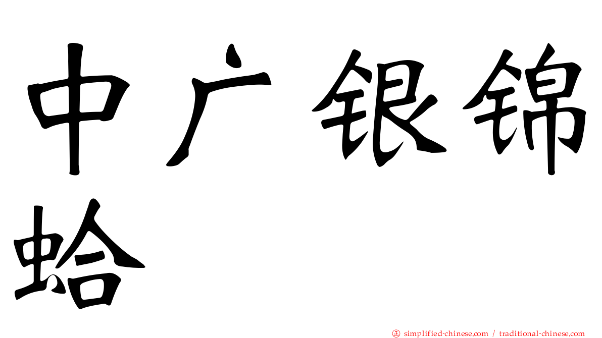 中广银锦蛤