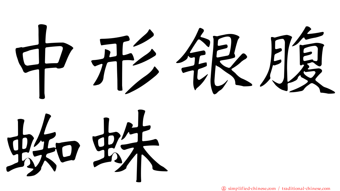 中形银腹蜘蛛