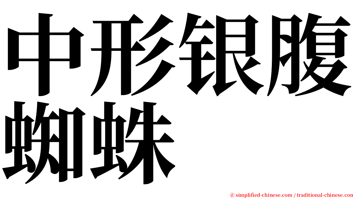 中形银腹蜘蛛 serif font