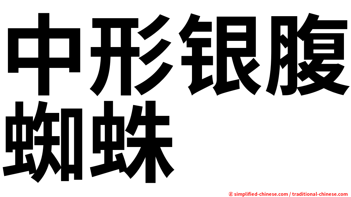 中形银腹蜘蛛