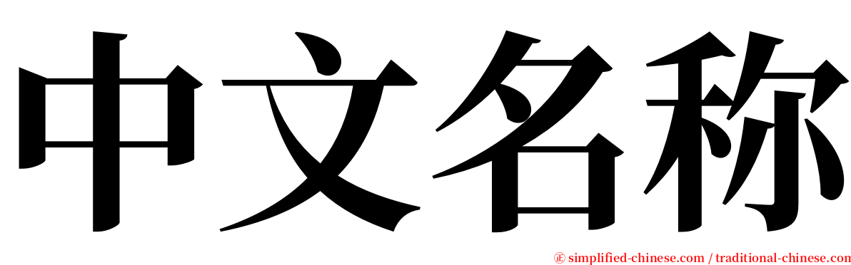 中文名称 serif font