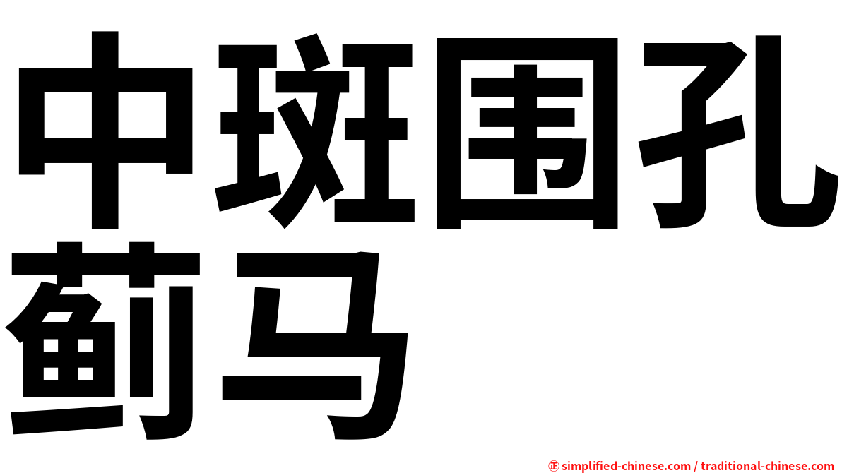 中斑围孔蓟马