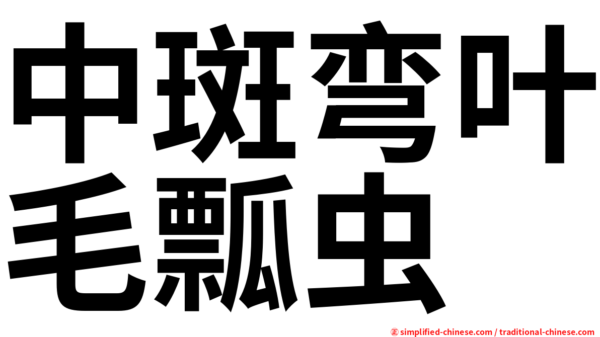 中斑弯叶毛瓢虫