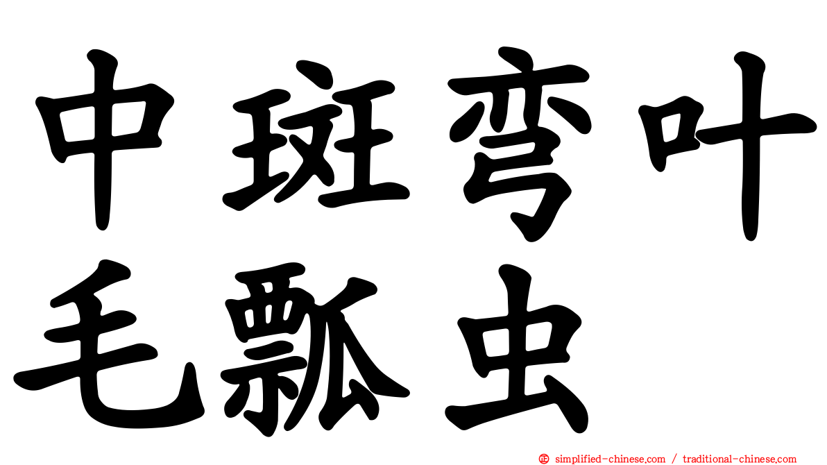 中斑弯叶毛瓢虫